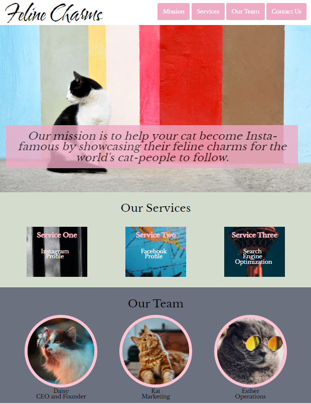 Screenshot of Feline Charms company landing page